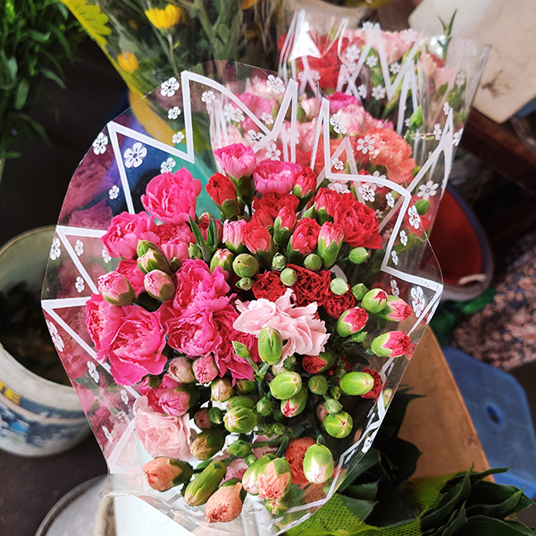 Hoa cẩm chướng